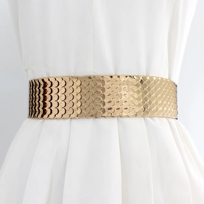 Ladies Metal Elastic Girdle Fish Scale Pattern Wide Belt Dress Slim Fit Corset Decoration Belts for Women Luxury Designer Brand
Ladies Metal Elastic Girdle Fish Scale Pattern Wide Belt Dress Slim Fit Corset Decoration Belts for Women Luxury Designer Brand
