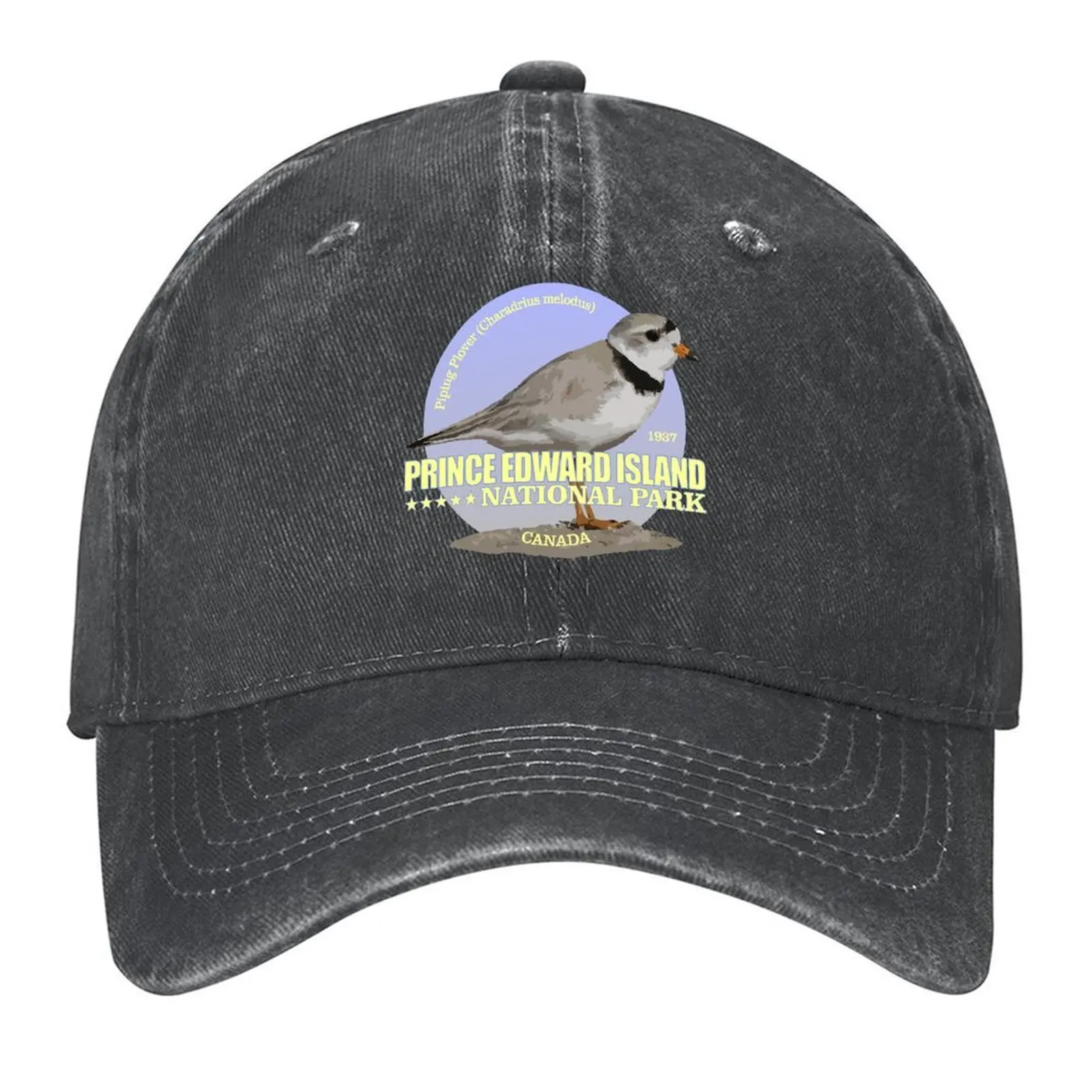 Prince Edward Island National Park (Piping Plover)(WT) Baseball Cap Hat men Rugby black Luxury man cap Women's Beach Visor Men's
Prince Edward Island National Park (Piping Plover)(WT) Baseball Cap Hat men Rugby black Luxury man cap Women's Beach Visor Men's