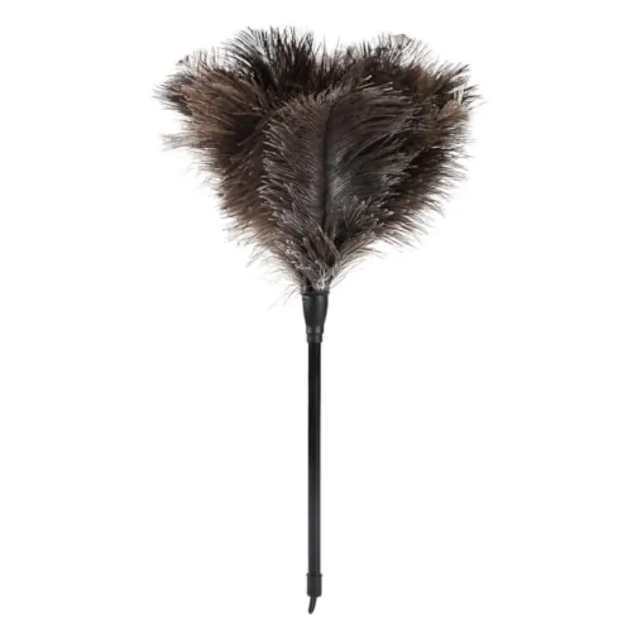 Natural Ostrich Feather Duster 14.9 inch Fluffy Mini Dusters with Plastic Handheld for Cleaning Car Keyboard Office 1 Pcs
Natural Ostrich Feather Duster 14.9 inch Fluffy Mini Dusters with Plastic Handheld for Cleaning Car Keyboard Office 1 Pcs