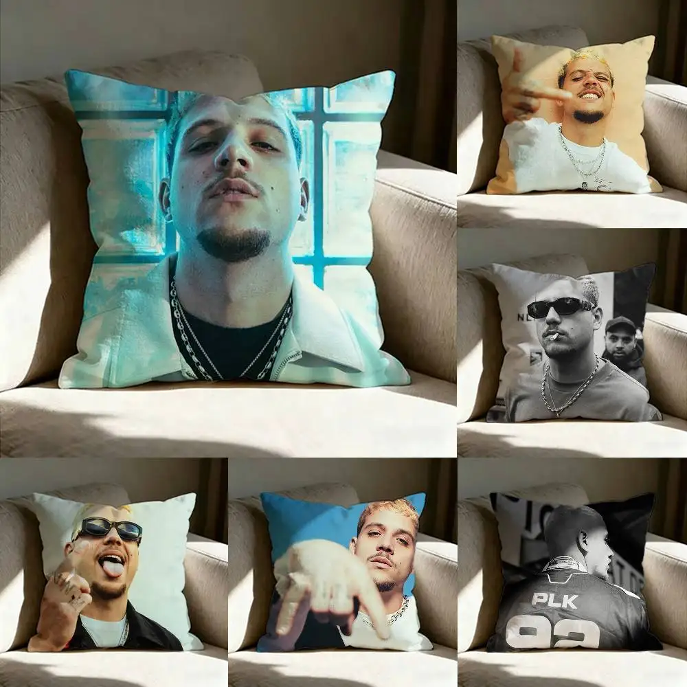 PLK French Rapper Pillow Case Living Room Sofa Cushion Cover Suitable For Home Bedroom Room Decoration
PLK French Rapper Pillow Case Living Room Sofa Cushion Cover Suitable For Home Bedroom Room Decoration
