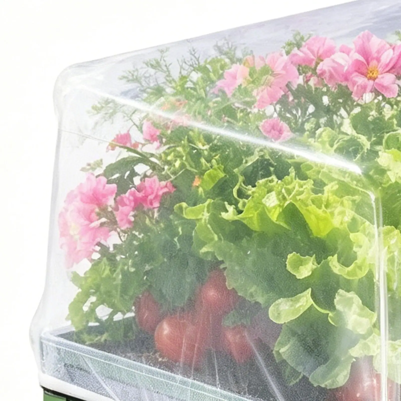 Plant Covers 8.5 X 4.6 Ft Reusable Rectangular Breathable Garden Mesh Netting For Farms Orchards Patio Pots Greenhouse Flowers
Plant Covers 8.5 X 4.6 Ft Reusable Rectangular Breathable Garden Mesh Netting For Farms Orchards Patio Pots Greenhouse Flowers