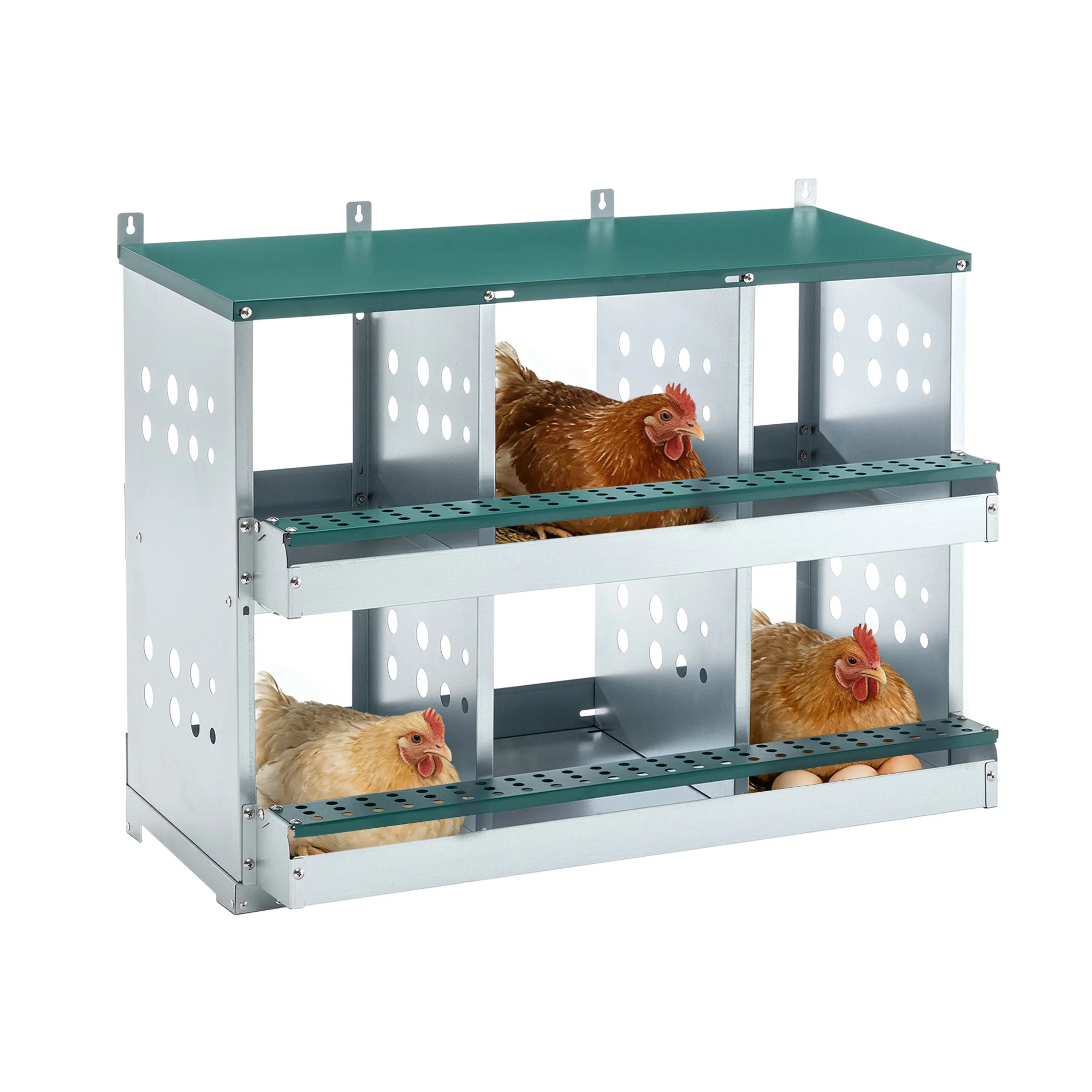 6 Compartments Roll Away Chicken Nesting Box Automatic Egg Laying Nest Box For Hens Green
6 Compartments Roll Away Chicken Nesting Box Automatic Egg Laying Nest Box For Hens Green