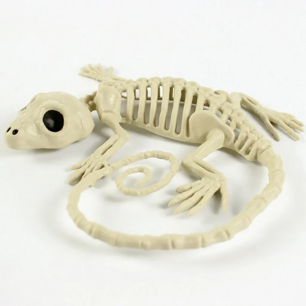 Horror Haunted House Retro Decorative Props Skeleton Gecko Props Horror Halloween Party Decorations Supplies Halloween Toys
Horror Haunted House Retro Decorative Props Skeleton Gecko Props Horror Halloween Party Decorations Supplies Halloween Toys