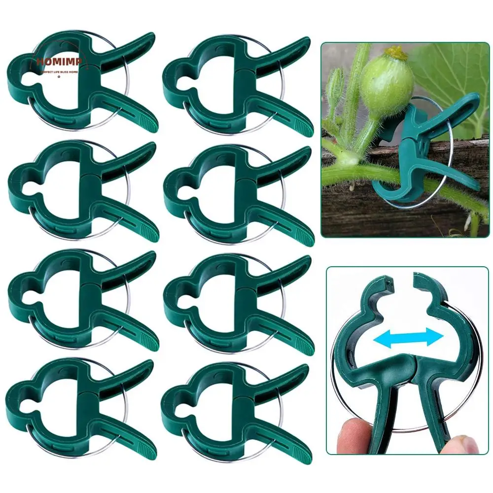 Tied Grafting Planting Stakes Connector Branch Clamping Vine Support Plant Fixed Clamp Farm Supplies Support Clips Garden Tool
Tied Grafting Planting Stakes Connector Branch Clamping Vine Support Plant Fixed Clamp Farm Supplies Support Clips Garden Tool