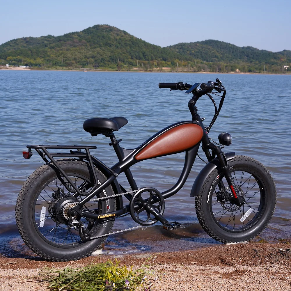 20x4.0 Fat Tire Electric Bicycle 48V 500W Motor 15Ah Battery Hydraulic Disc Brakes
20x4.0 Fat Tire Electric Bicycle 48V 500W Motor 15Ah Battery Hydraulic Disc Brakes