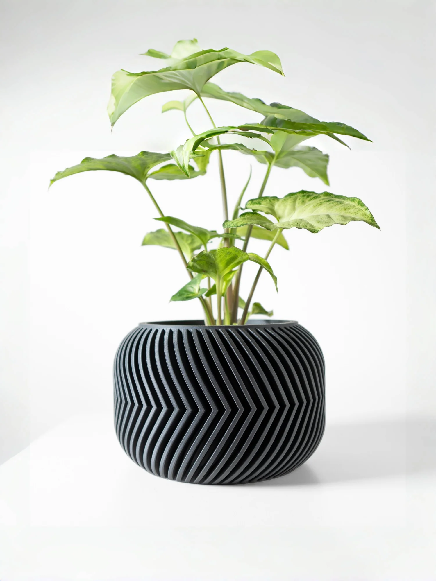 Modern Minimalist 3D Printed Plant Pot – Biodegradable Flower Planter for Home Decor, Eco-Friendly Sustainable Gift (Ervon)
Modern Minimalist 3D Printed Plant Pot – Biodegradable Flower Planter for Home Decor, Eco-Friendly Sustainable Gift (Ervon)