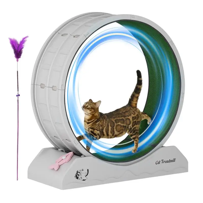 Running Wheel For Cats Quiet Workout Equipment For Kitten Large Cat Wheel Exerciser For Indoors Safety Kitten Treadmill
Running Wheel For Cats Quiet Workout Equipment For Kitten Large Cat Wheel Exerciser For Indoors Safety Kitten Treadmill