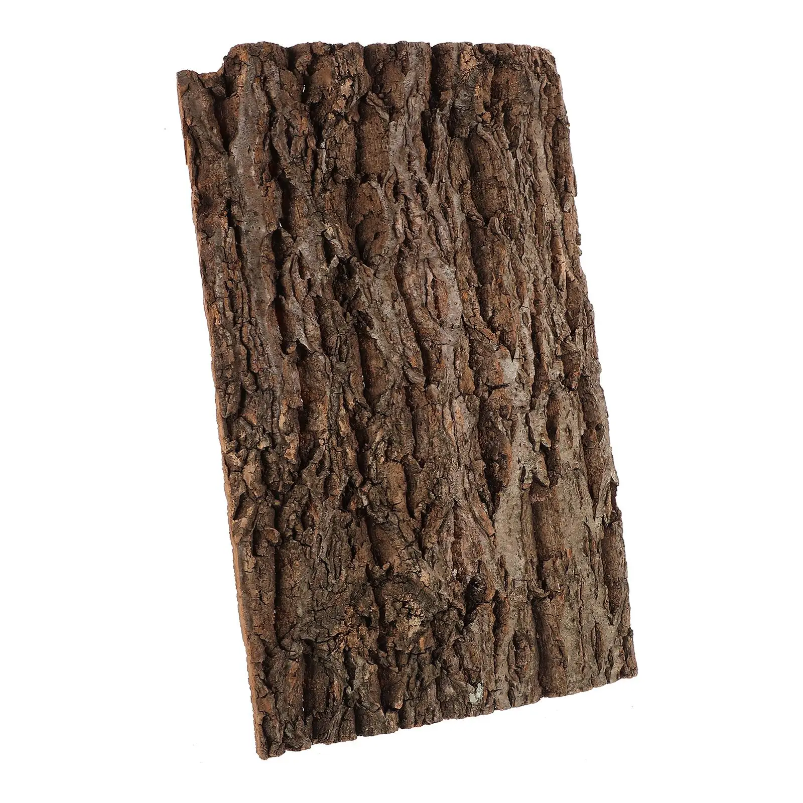 20x30cm Bark Tortoise Platform Reptile Background Bark Terrarium Decor Reptile Tank Supplies Climbing Platform Safe Material
20x30cm Bark Tortoise Platform Reptile Background Bark Terrarium Decor Reptile Tank Supplies Climbing Platform Safe Material