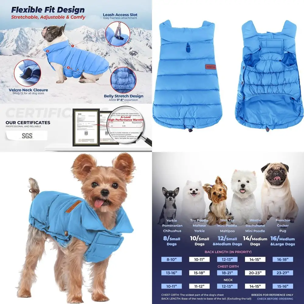 Winter-Ready Lightweight Puer Dog Coat, Durable for Outdoors, Adjustable for Small Dogs, Blue, Size S
Winter-Ready Lightweight Puer Dog Coat, Durable for Outdoors, Adjustable for Small Dogs, Blue, Size S