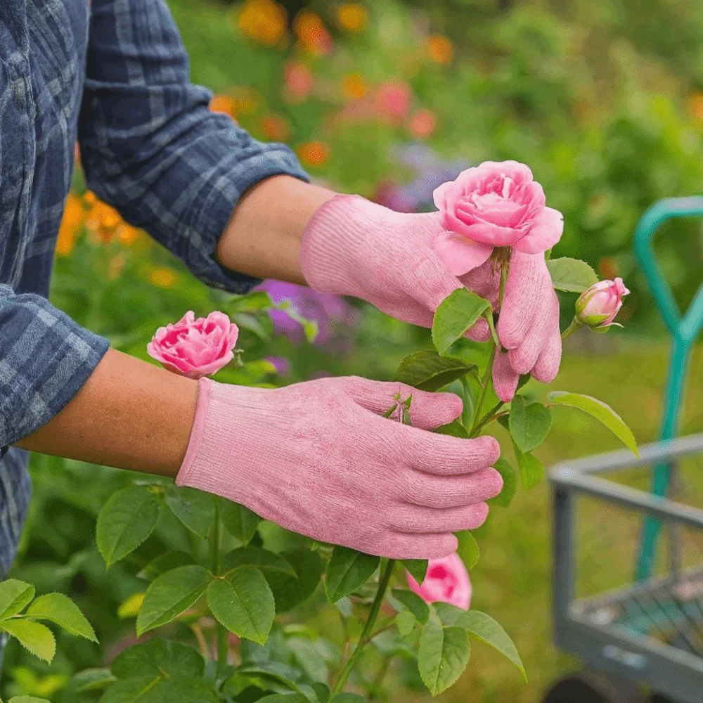 5-уровневые перчатки против порезов HPPE, устойчивые к ударам, устойчивые к порезам перчатки, профессиональные износостойкие защитные перчатки для кухни
5-уровневые перчатки против порезов HPPE, устойчивые к ударам, устойчивые к порезам перчатки, профессиональные износостойкие защитные перчатки для кухни