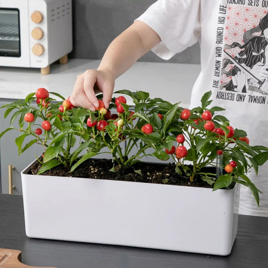 Rectangular Planter Garden Planter with Water Level Indicator Garden Plant Pot Indoor Plants Flowers Planter Decorative Planter
Rectangular Planter Garden Planter with Water Level Indicator Garden Plant Pot Indoor Plants Flowers Planter Decorative Planter