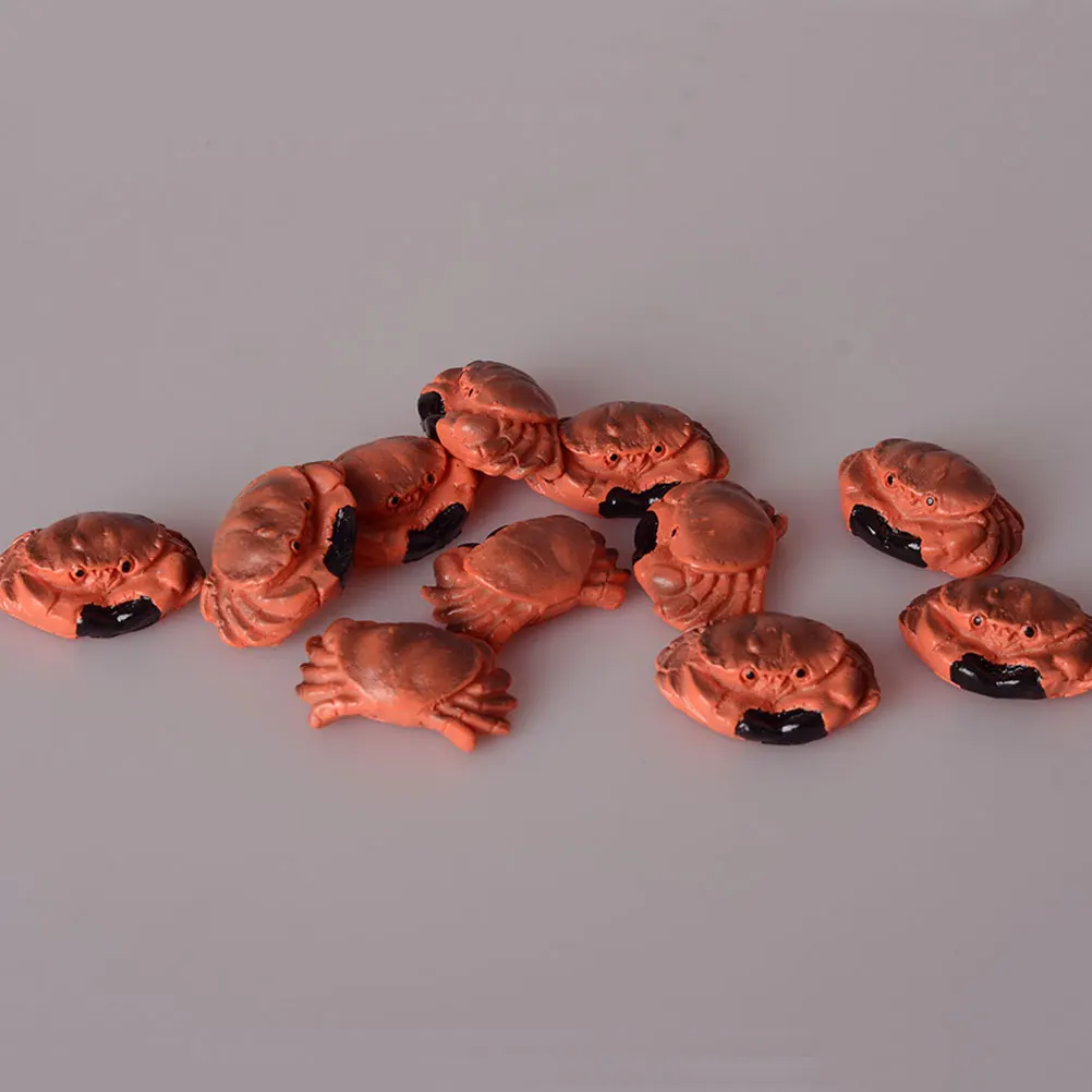 3 Pcs Mini Crab Resin Statues Desktop Sculpture Decor Decorate Miniatures Ornament
3 Pcs Mini Crab Resin Statues Desktop Sculpture Decor Decorate Miniatures Ornament