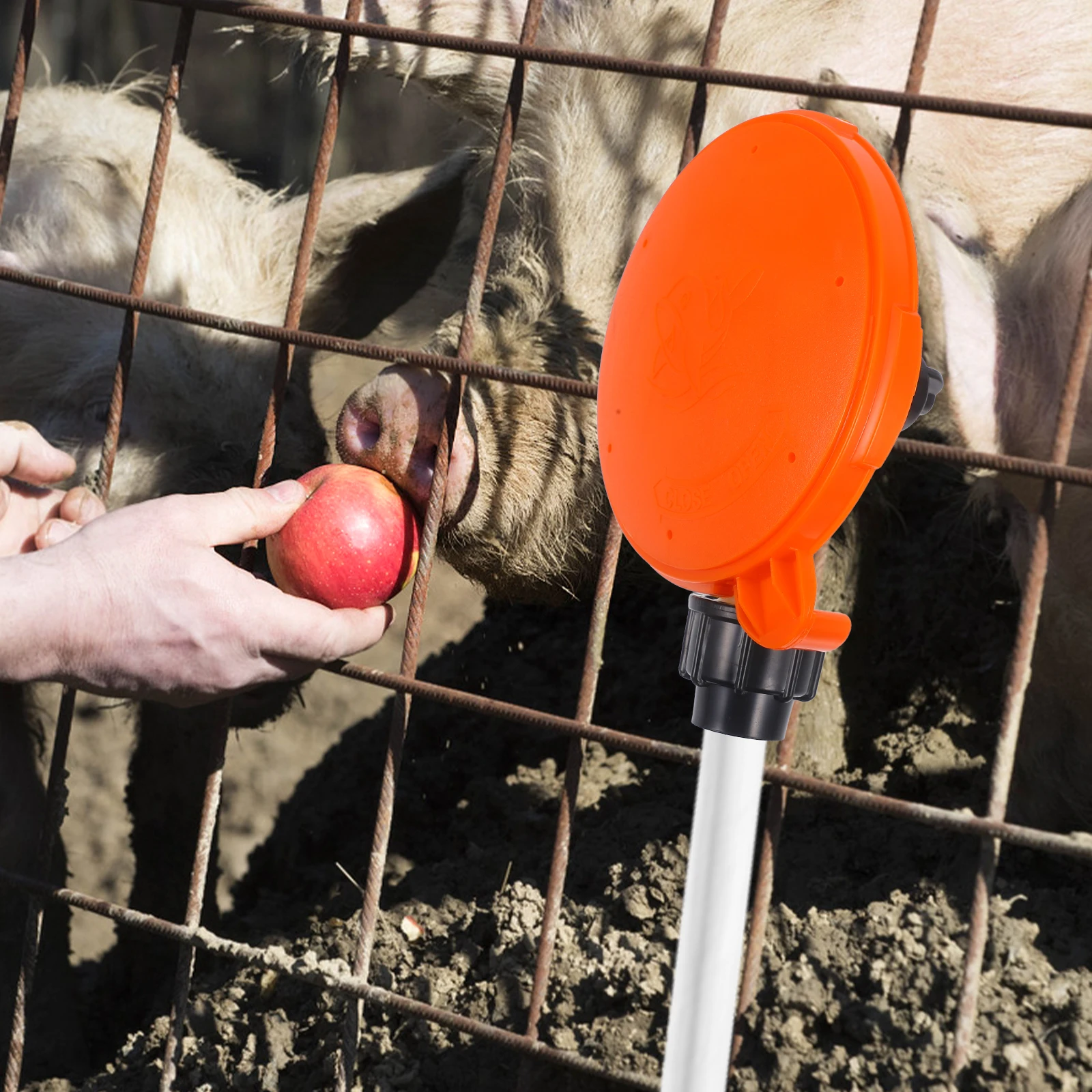 Pig Drinking Water Controller Automatic Water Level Control Tool Farm Animals Feeder System Plastic Drinking Bowl
Pig Drinking Water Controller Automatic Water Level Control Tool Farm Animals Feeder System Plastic Drinking Bowl