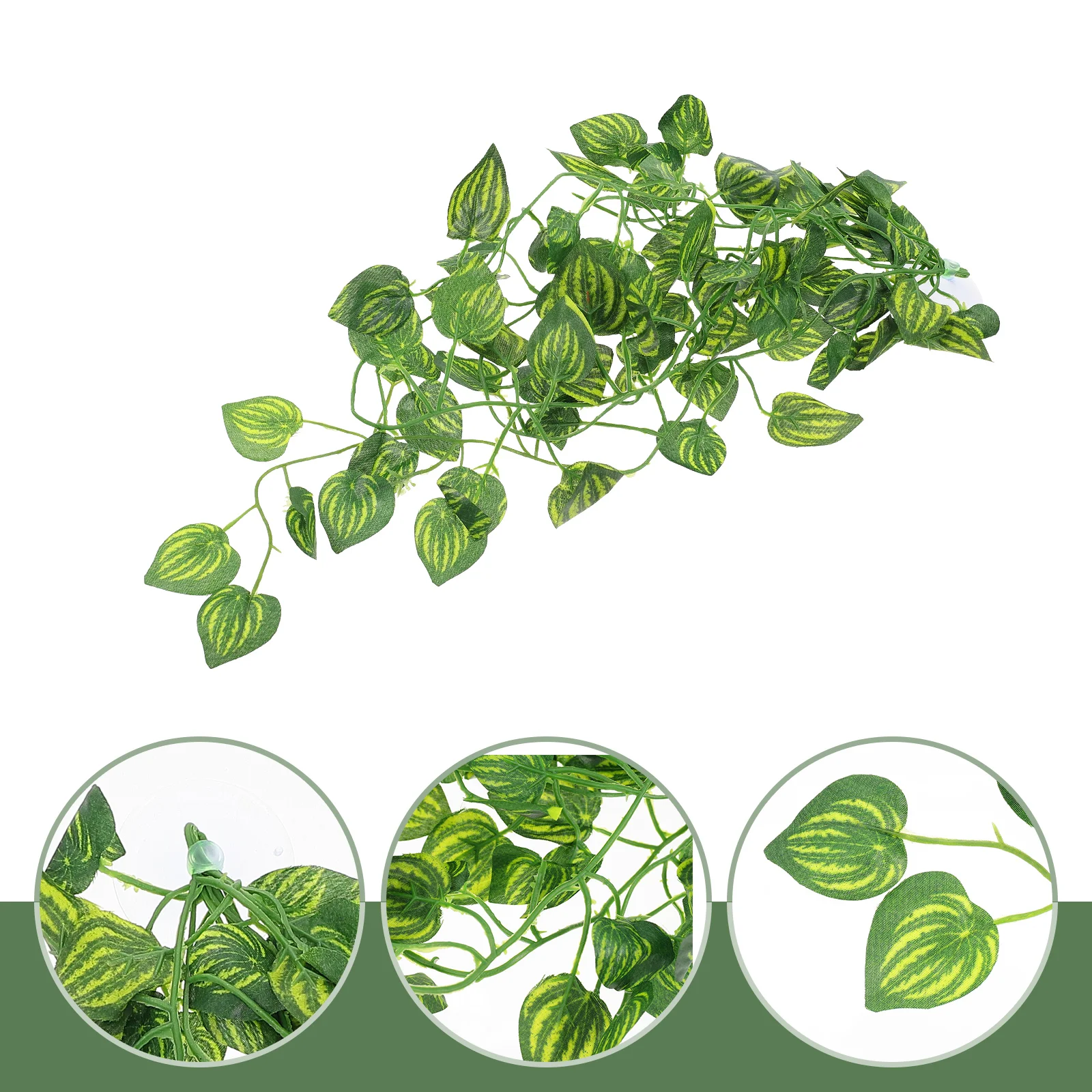 Terrarium Leaves Landscaping Plants Imitated Vine Decor Lizards Geckos Cage Tortoise
Terrarium Leaves Landscaping Plants Imitated Vine Decor Lizards Geckos Cage Tortoise