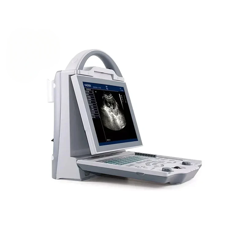 veterinary equipment veterinary ultrasound Compact Ultrasonic Diagnostic Systems for Efficient Veterinary Care
veterinary equipment veterinary ultrasound Compact Ultrasonic Diagnostic Systems for Efficient Veterinary Care