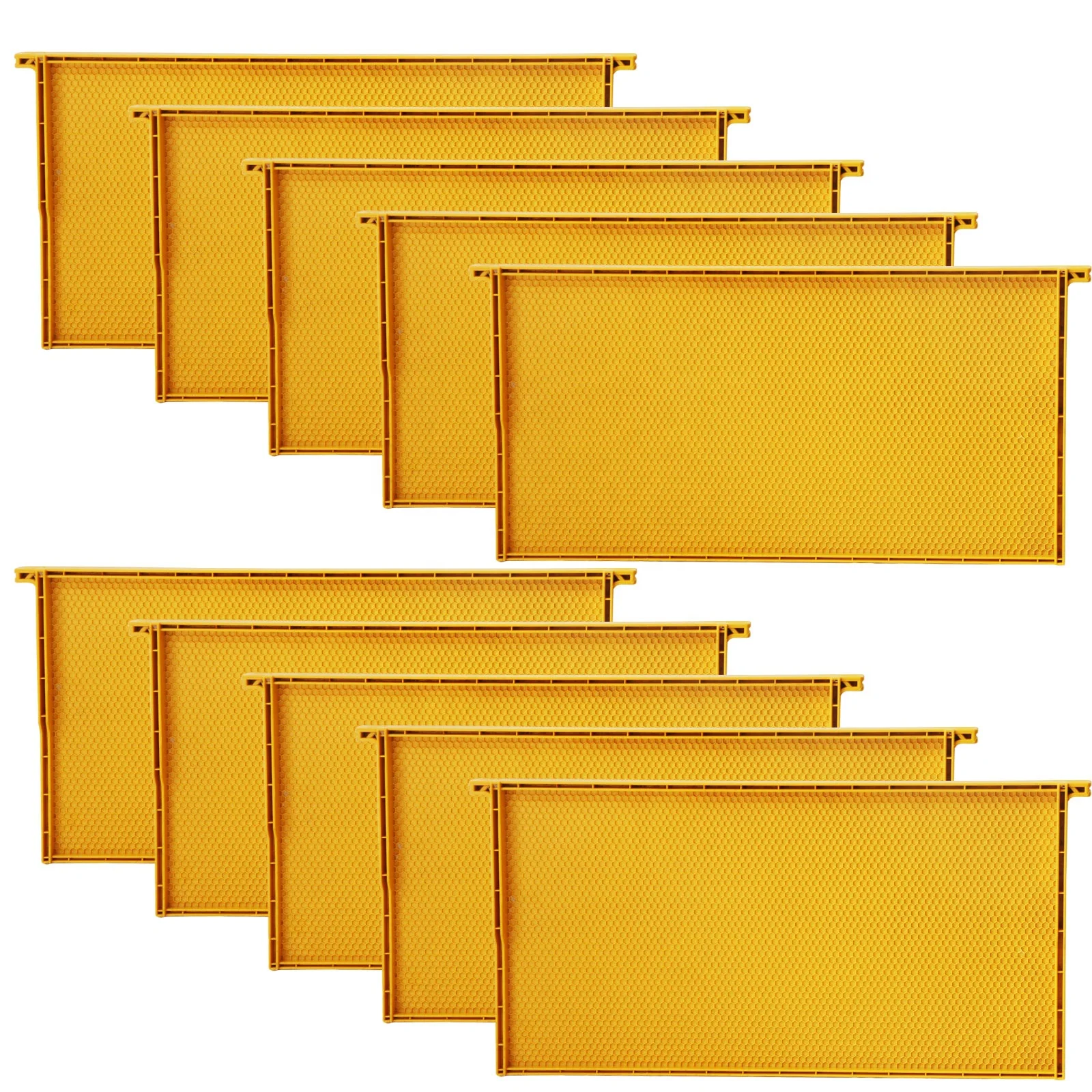 10Pcs Yellow Beehive Frames and Foundations, All in One Bee Frames/ Foundations for Deep Hive Box
10Pcs Yellow Beehive Frames and Foundations, All in One Bee Frames/ Foundations for Deep Hive Box