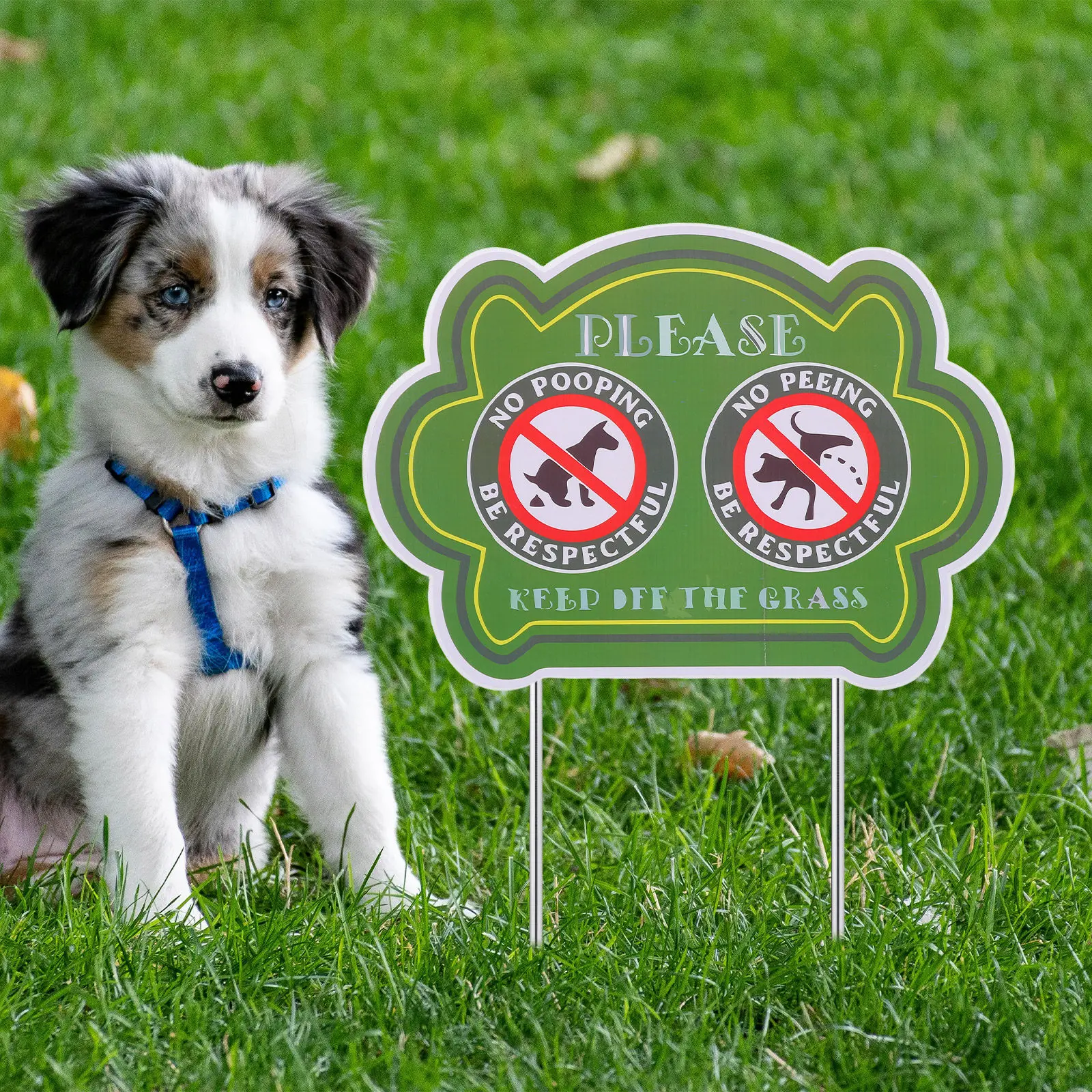 Outdoor Yard Dog Poop Sign No Pooping And Peeing Dogs Warning Sign Keep Off Grass Pet Waste Reminder For Lawn Front Yard Garden
Outdoor Yard Dog Poop Sign No Pooping And Peeing Dogs Warning Sign Keep Off Grass Pet Waste Reminder For Lawn Front Yard Garden