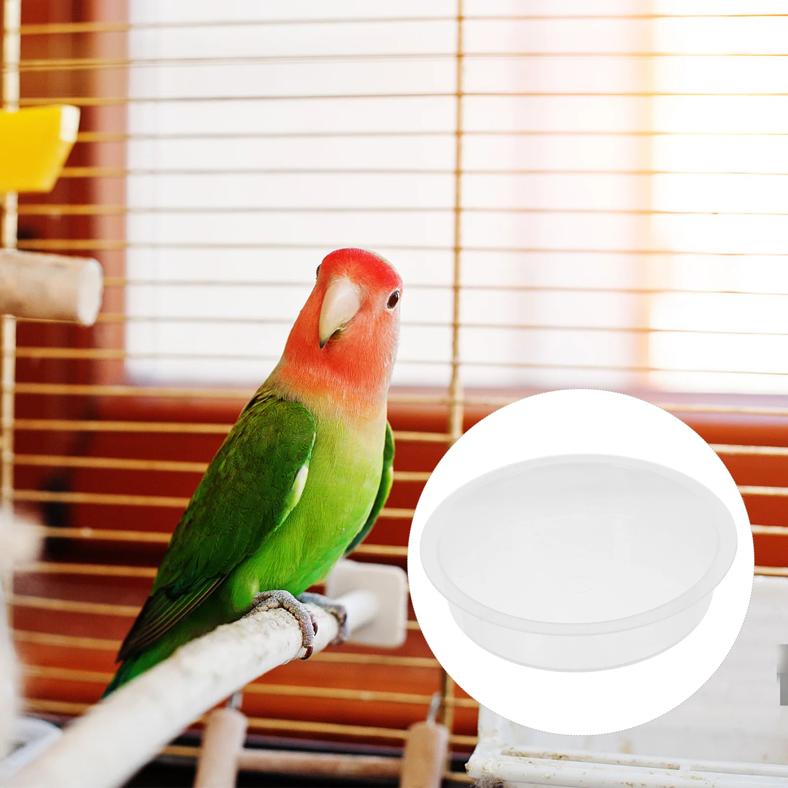 2 Pcs Feeder Feeding Station Bath Trays Water Bowls Round Hummingbird Dishes Easy Clean Outdoor Accessories Birdbath Trays
2 Pcs Feeder Feeding Station Bath Trays Water Bowls Round Hummingbird Dishes Easy Clean Outdoor Accessories Birdbath Trays