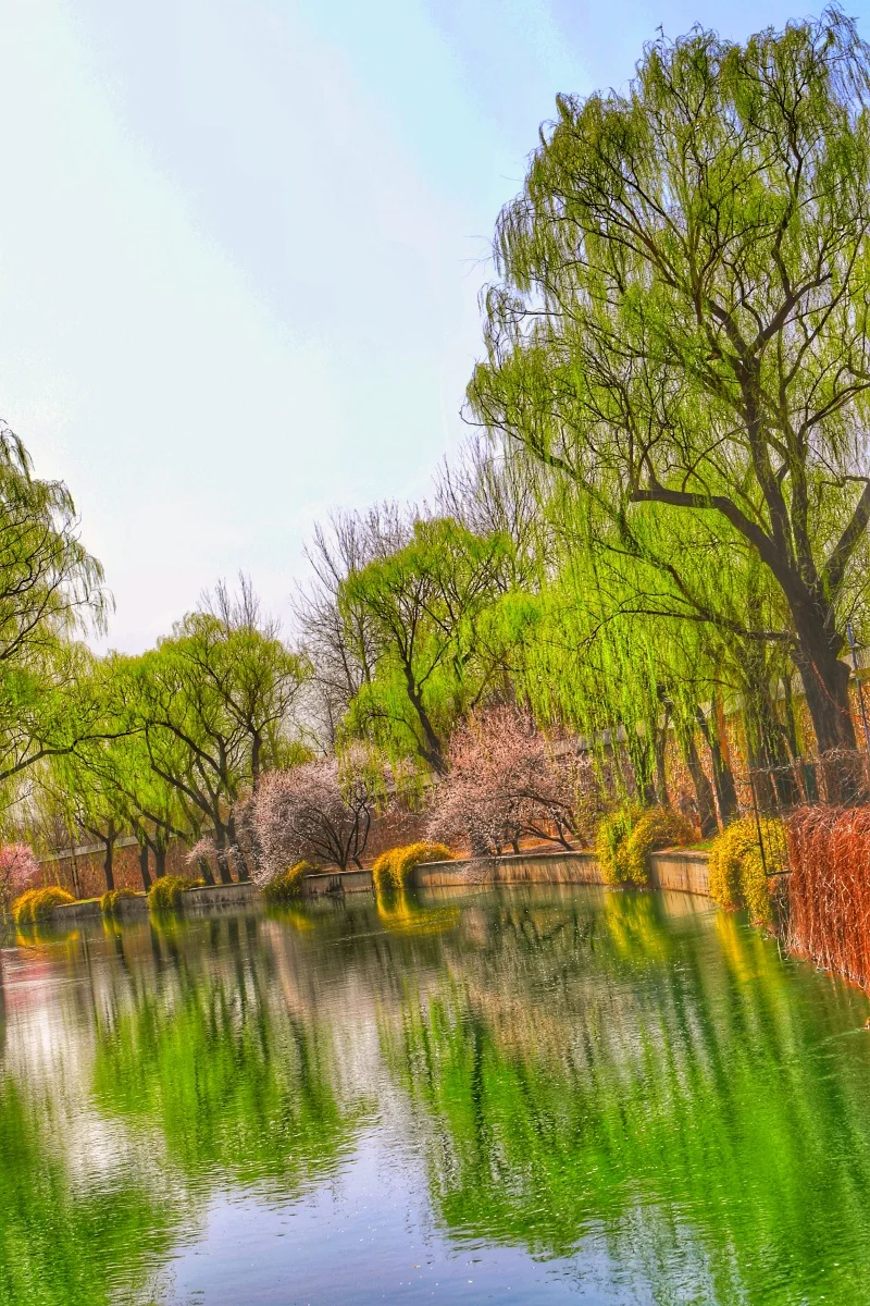 1.0 Inch Wheel Tires D399 / Brass Wheel Rims D398 for 1/18 TRX4M SCX24 FMS Ascent-18 RC Crawler
1.0 Inch Wheel Tires D399 / Brass Wheel Rims D398 for 1/18 TRX4M SCX24 FMS Ascent-18 RC Crawler