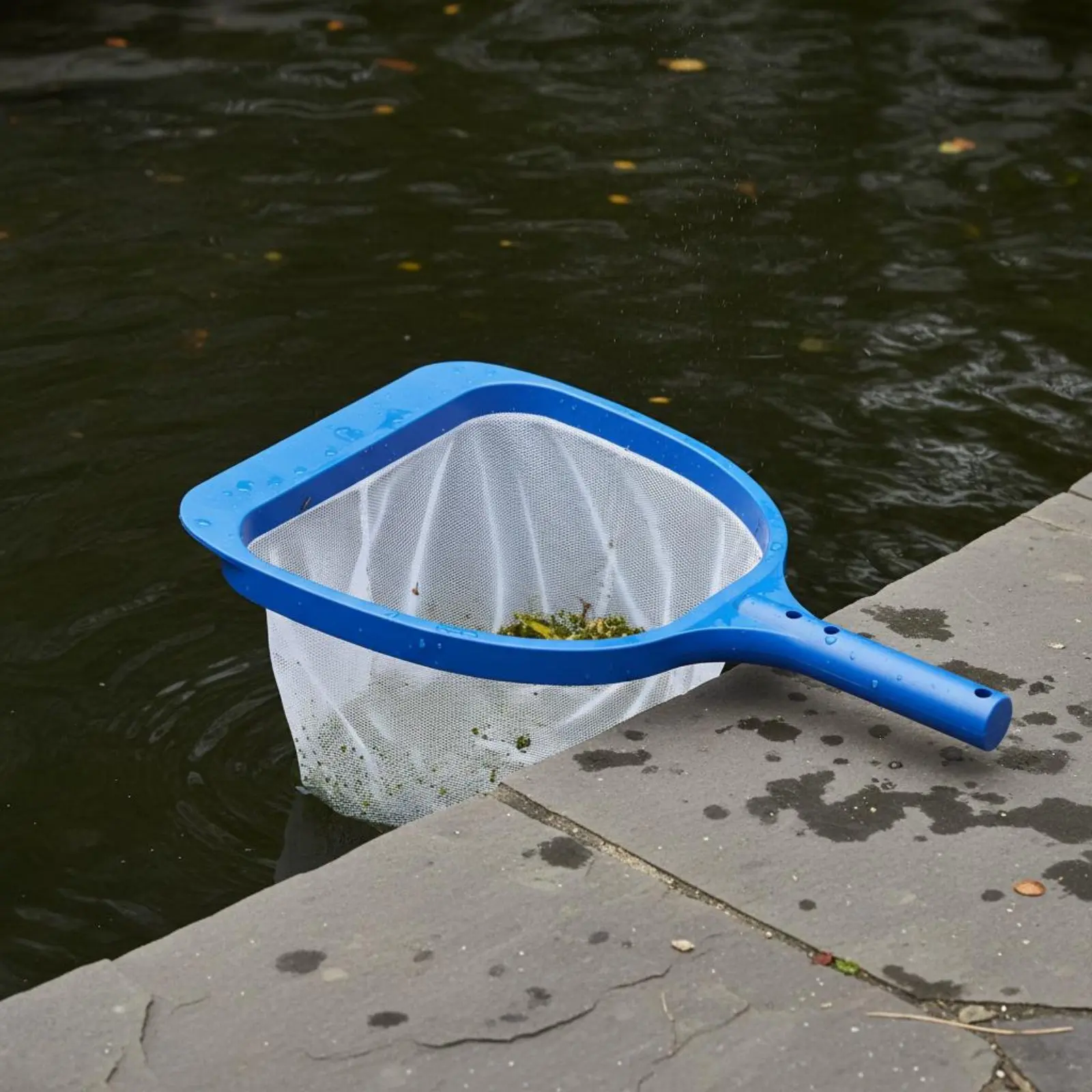 Pool Skimmer Net Fine Mesh Deep Bag Foliage Skimmer Foliage Rake Net Quick-Drying Cleaning Tool for Spa
Pool Skimmer Net Fine Mesh Deep Bag Foliage Skimmer Foliage Rake Net Quick-Drying Cleaning Tool for Spa