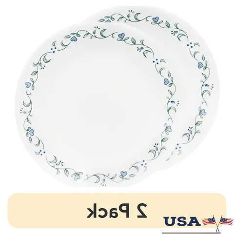 Country Cottage Round Lunch Plates Set of 2 Floral Design Lightweight Durable Glass Dishwasher Microwave Safe Home Decor