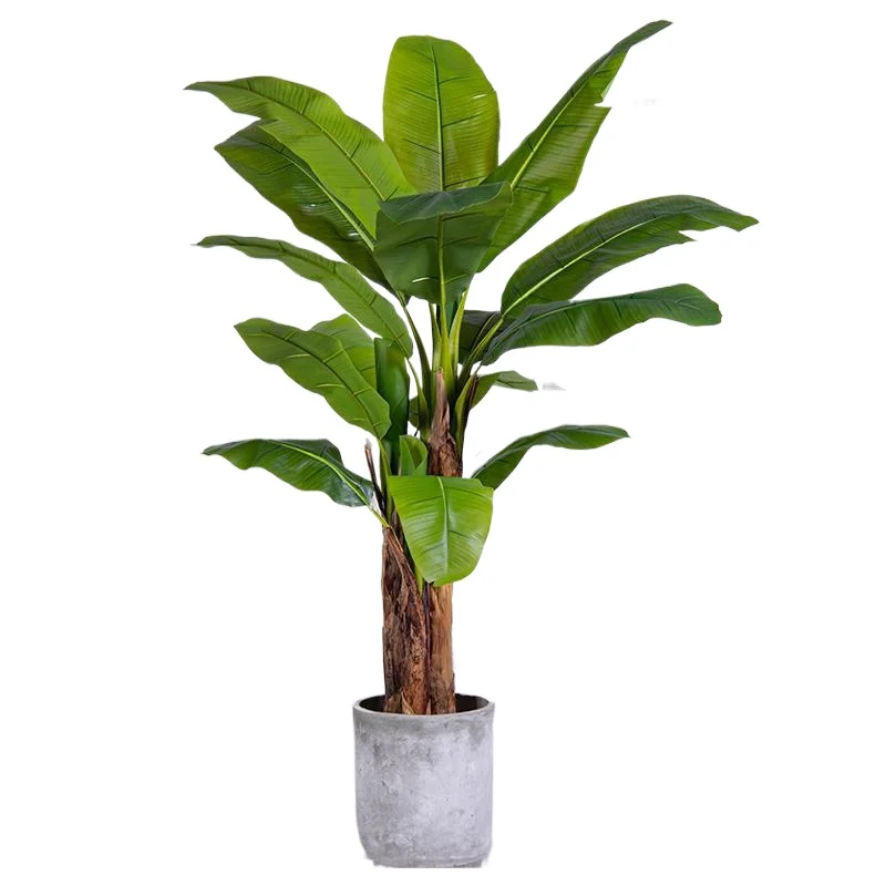 High-end light luxury large-scale simulated banana tree plant bionic fake tree green plant indoor living room landscaping de
High-end light luxury large-scale simulated banana tree plant bionic fake tree green plant indoor living room landscaping de