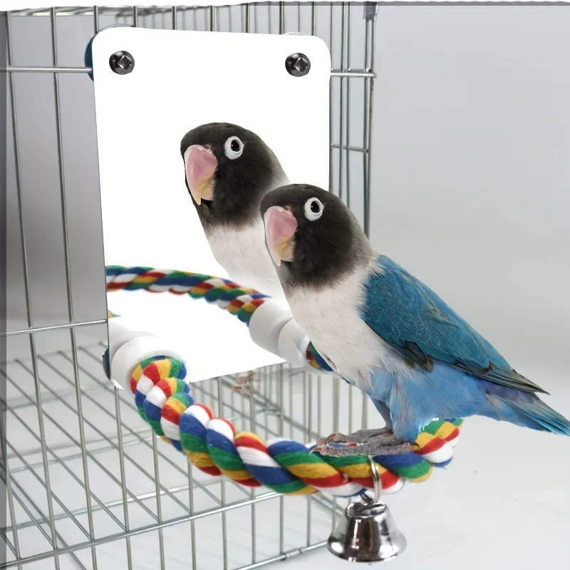 Bird Products Acrylic Parrot Mirror Activity Station Stick Bite Toy Station Stick Cotton Rope Relieve Boredom and Have Fun
Bird Products Acrylic Parrot Mirror Activity Station Stick Bite Toy Station Stick Cotton Rope Relieve Boredom and Have Fun