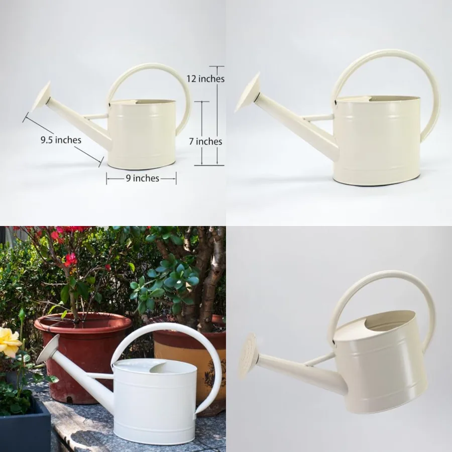 1.3 Gal Watering Can, Finish, Galvanized, Metal Watering Can, Perfect Plant Water Can for Plants Indoor Outdoor
1.3 Gal Watering Can, Finish, Galvanized, Metal Watering Can, Perfect Plant Water Can for Plants Indoor Outdoor