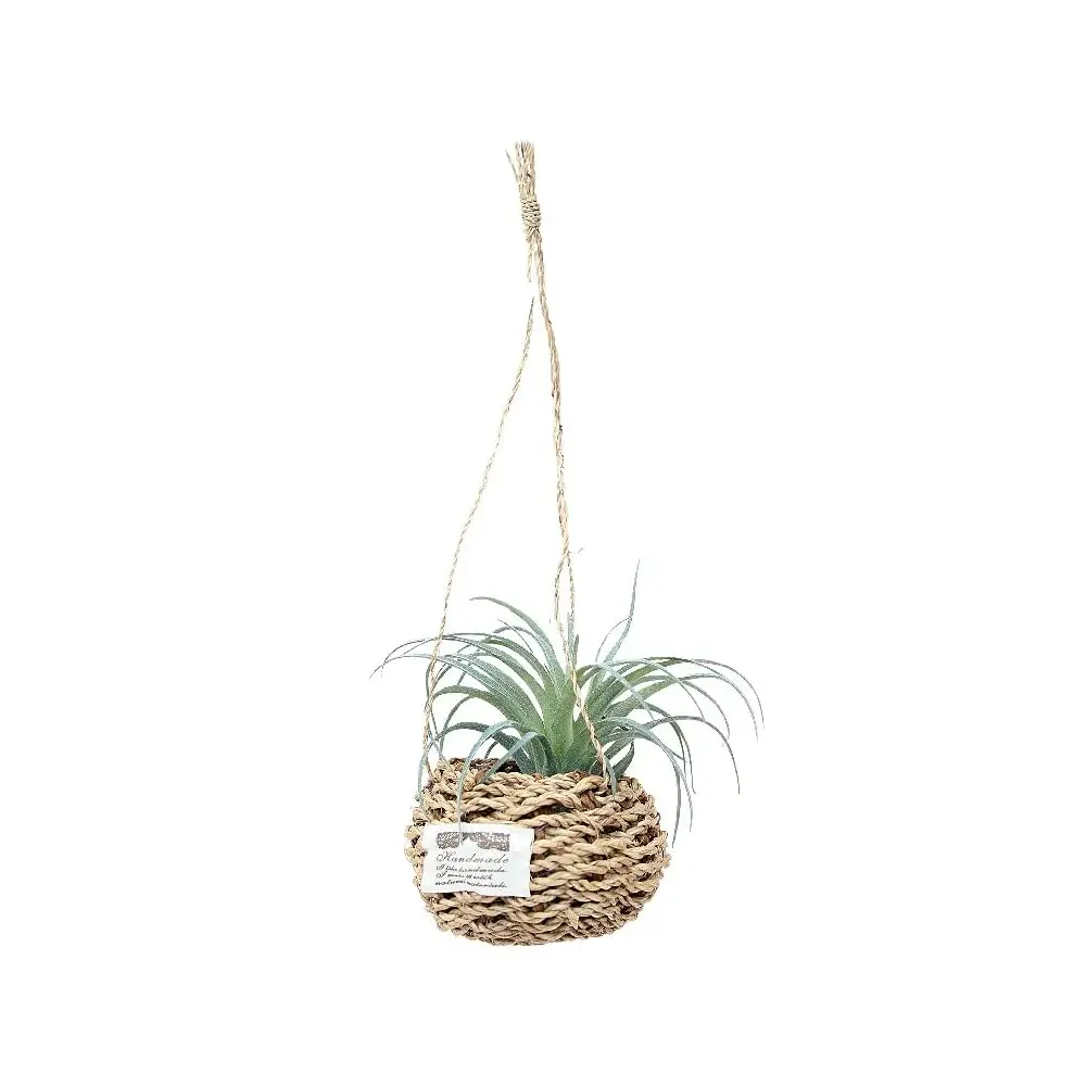 Artificial Plastic Plant Vine Small Hanging Basket Ornament For Indoor Walls, Shelves, Cabinets, Kitchens, Studies, Desks,
Artificial Plastic Plant Vine Small Hanging Basket Ornament For Indoor Walls, Shelves, Cabinets, Kitchens, Studies, Desks,