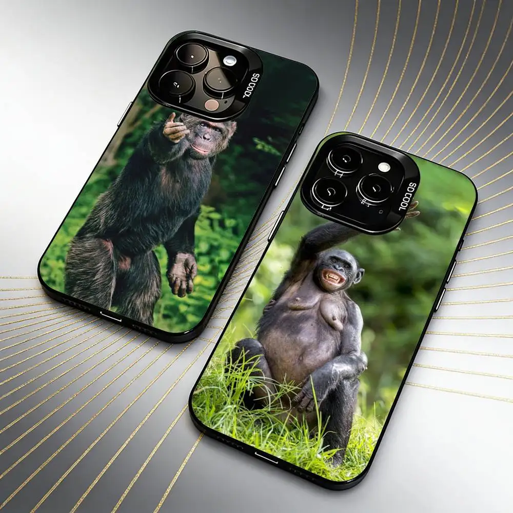 Monkey Gorilla Orangutan Funny Phone Case For iPhone 16 17 15 14 12 13 Pro Max Black Color Shockproof Cover
Monkey Gorilla Orangutan Funny Phone Case For iPhone 16 17 15 14 12 13 Pro Max Black Color Shockproof Cover