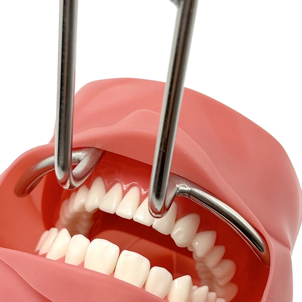 Стоматологический двухсторонний роторасширитель из нержавеющей стали для рта, щек и губ, инструмент для внутриротовой хирургии
Стоматологический двухсторонний роторасширитель из нержавеющей стали для рта, щек и губ, инструмент для внутриротовой хирургии