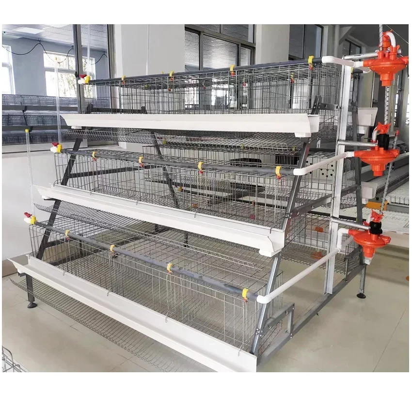 A Type 4 Tiers 128 Birds Battery Layer Chicken Cages Egg Laying Hens Chicken Cage for Small Chicken Poultry Farm with Low Price
A Type 4 Tiers 128 Birds Battery Layer Chicken Cages Egg Laying Hens Chicken Cage for Small Chicken Poultry Farm with Low Price