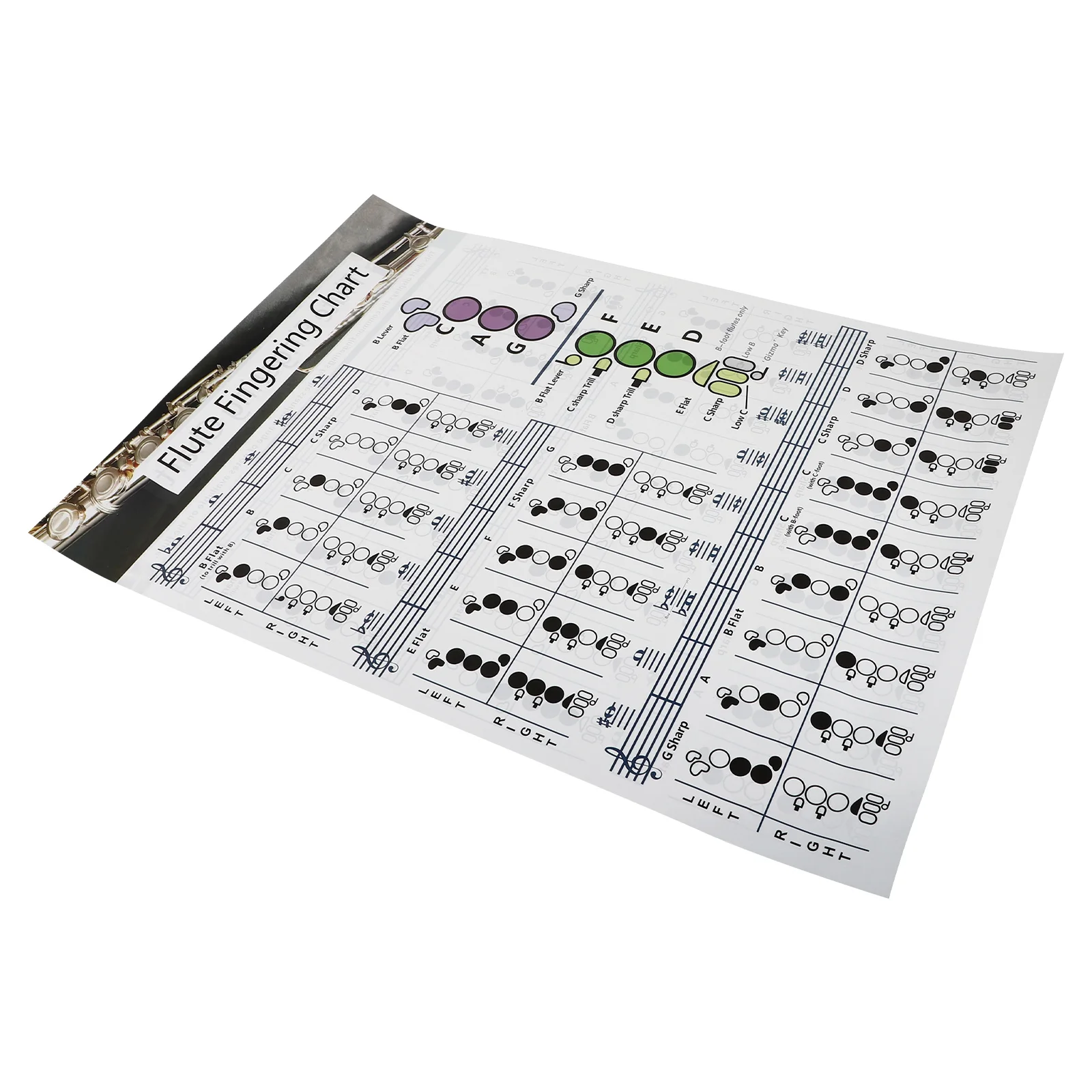 Flute Fingering Diagram Keys Poster for Practice Beginners Car Chord Chart Chords
Flute Fingering Diagram Keys Poster for Practice Beginners Car Chord Chart Chords