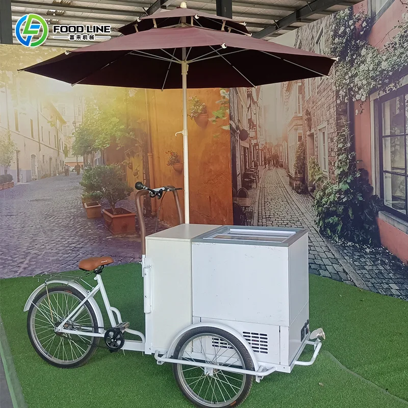 Electric Cargo Tricycle Adult Reverse Trike with Front Wooden Box for Family Fruit Ice Cream Cart
Electric Cargo Tricycle Adult Reverse Trike with Front Wooden Box for Family Fruit Ice Cream Cart