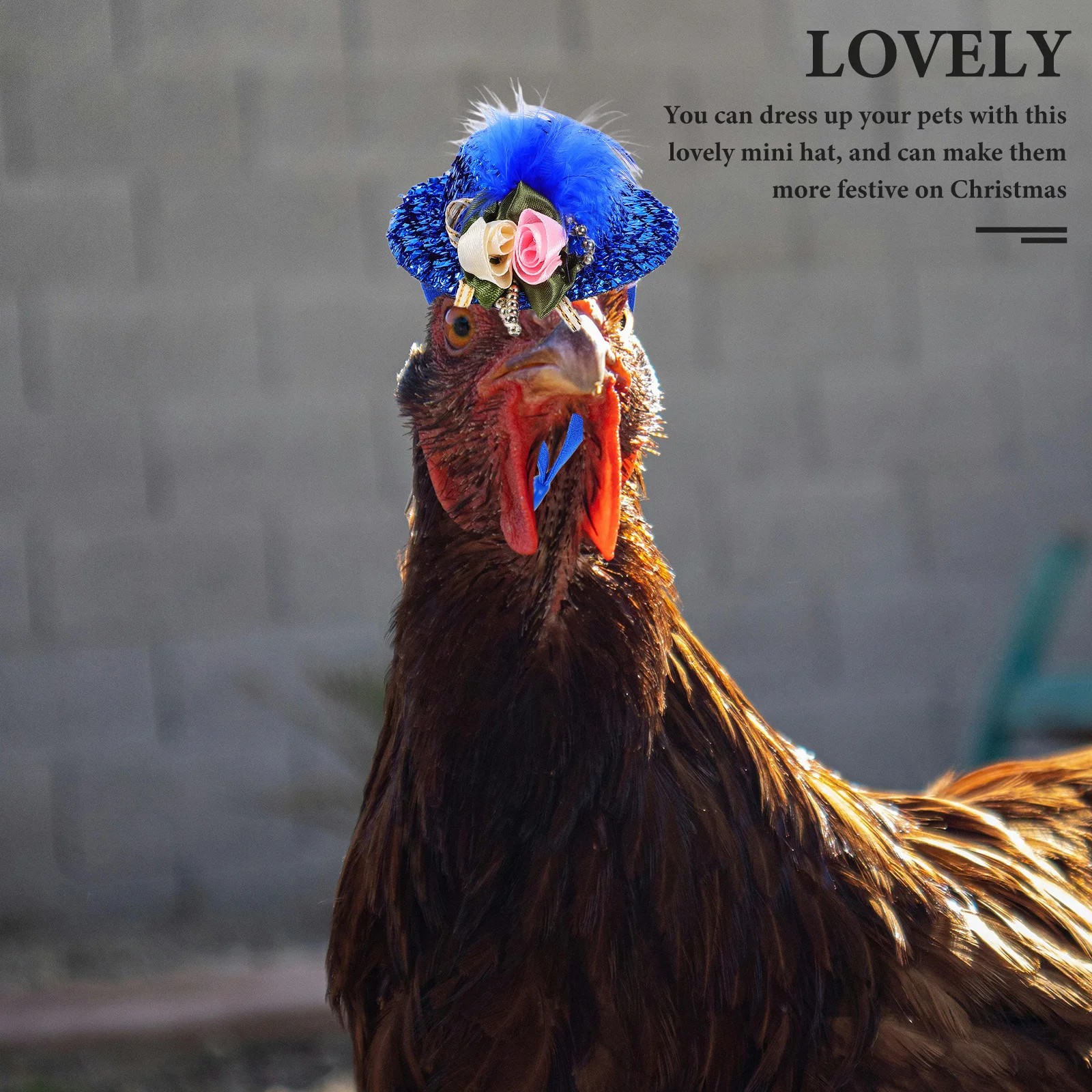 6Pcs Adjustable Chicken Hat Cloth Pet Decorative Wear-Resistant Bird Hat Hen Accessory Christmas Festival Chicken Accessory
6Pcs Adjustable Chicken Hat Cloth Pet Decorative Wear-Resistant Bird Hat Hen Accessory Christmas Festival Chicken Accessory