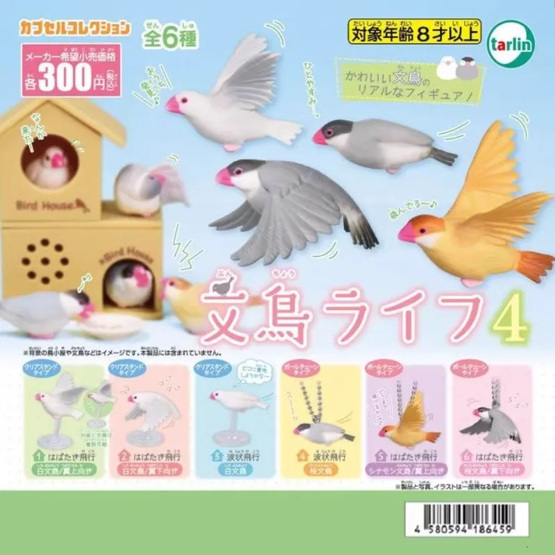 Оригинальные милые аниме капсульные игрушки Tarlin Gashapon летающие Wenbird Брелок фигурка птицы кавайная экшн-фигурка подарок для детей
Оригинальные милые аниме капсульные игрушки Tarlin Gashapon летающие Wenbird Брелок фигурка птицы кавайная экшн-фигурка подарок для детей