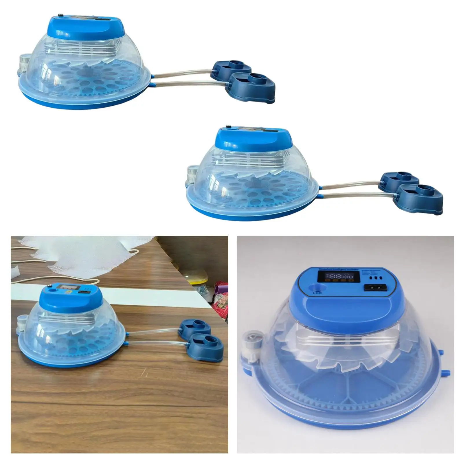 Egg Hatching for Hatching Eggs Chick Incubator Automatic Water Adding Hatcher Machine for Quail Chick Chicken Use
Egg Hatching for Hatching Eggs Chick Incubator Automatic Water Adding Hatcher Machine for Quail Chick Chicken Use