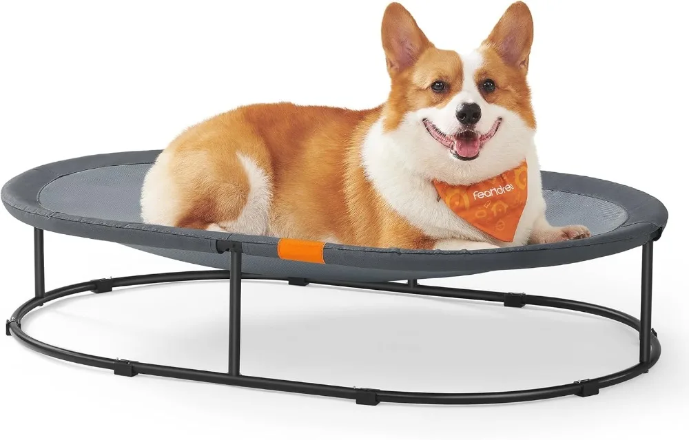 Feandrea Dog Bed, Elevated Dog Bed for Small, Large Dogs, Dog Bed for Indoor, Outdoor, with Removable Washable Mesh
Feandrea Dog Bed, Elevated Dog Bed for Small, Large Dogs, Dog Bed for Indoor, Outdoor, with Removable Washable Mesh