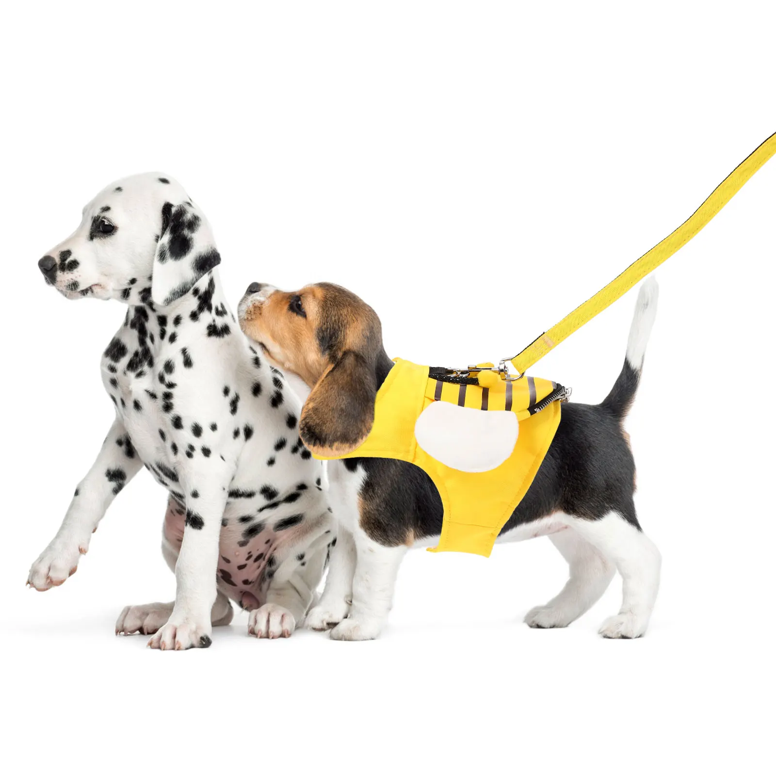 Harness Wear Resistant Vest Adjustable Dog Accessory Decorative Pet Supply Durable Harness Leash Leash 
Harness Wear Resistant Vest Adjustable Dog Accessory Decorative Pet Supply Durable Harness Leash Leash