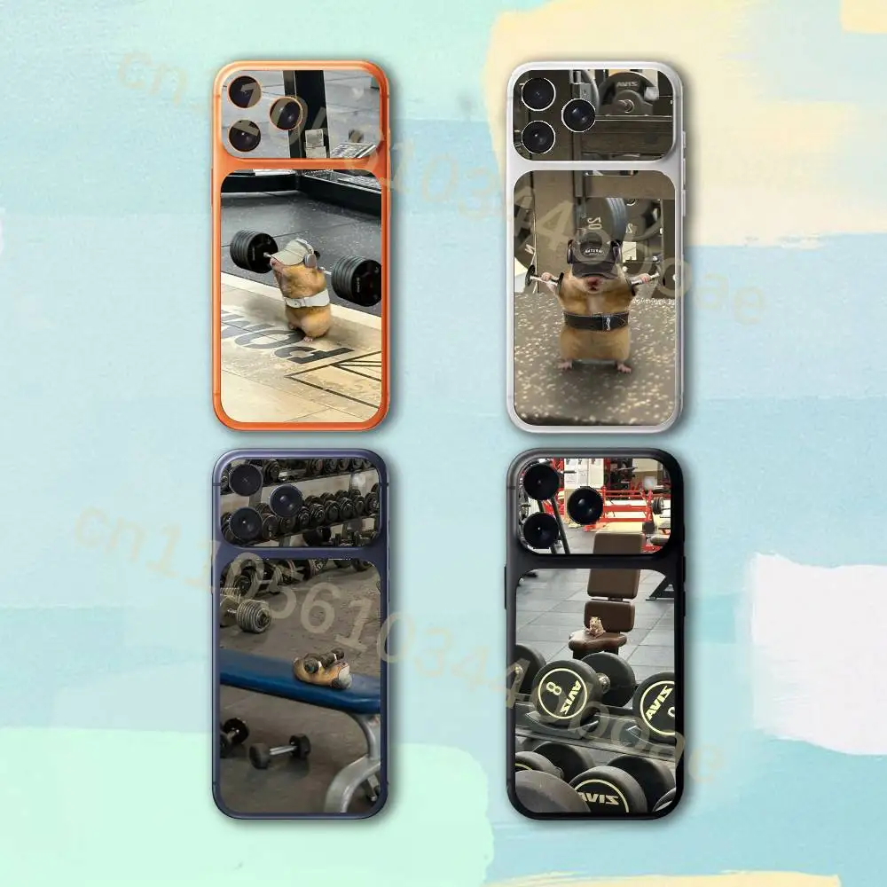 Cute Gym Hamster For iPhone 17pro,17pro max Carmere and Back Cover Decal Wrap Skin Colorful Rear Protective Sticker Film
Cute Gym Hamster For iPhone 17pro,17pro max Carmere and Back Cover Decal Wrap Skin Colorful Rear Protective Sticker Film
