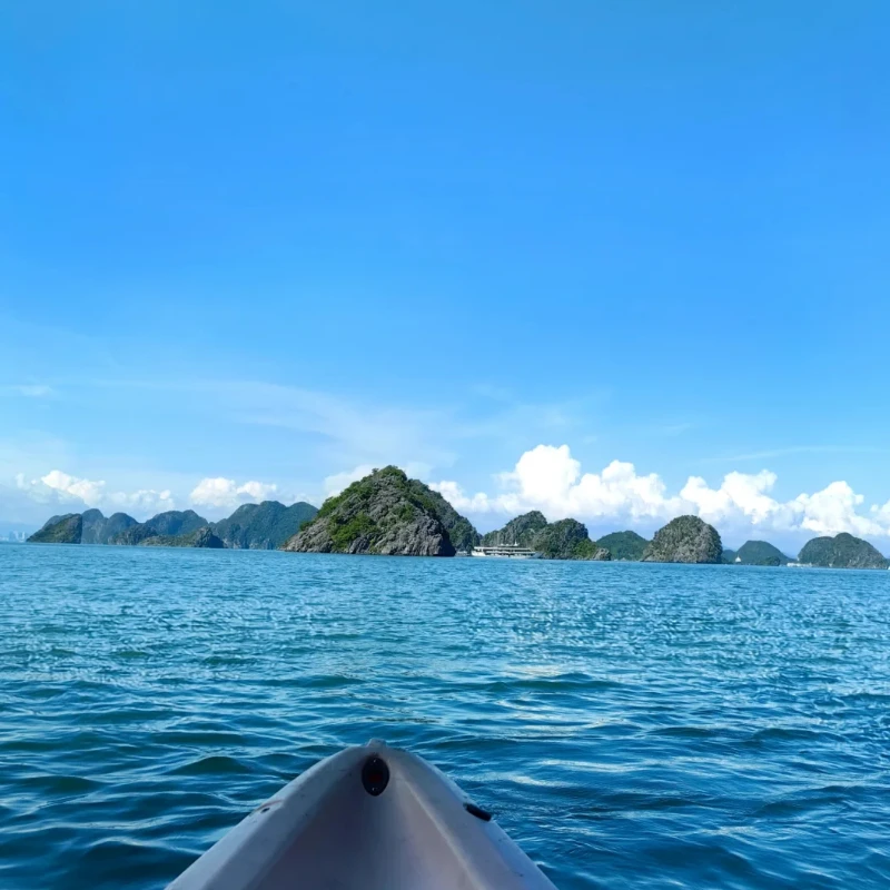 HGLRC MY5 5 - inch Frame - 225mm Wheelbase for RC Freestyle Racing Quadcopter Accessory