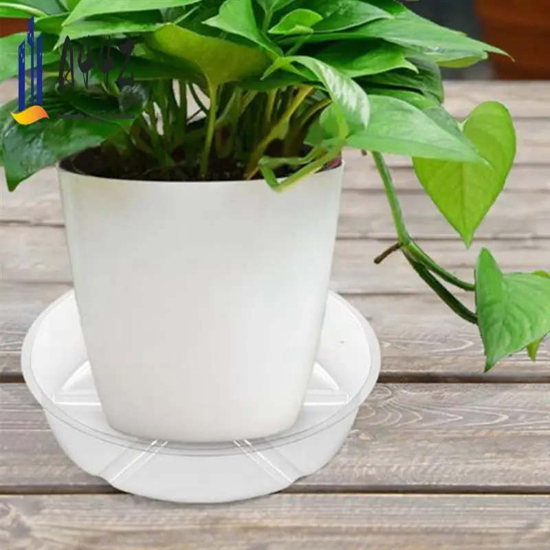 A44Z-10 Pack Plant Saucers Drip Tray 6 Inch Clear Plastic Flower Pot Saucers For Indoor Plants, Plant Drip Tray For Pots
A44Z-10 Pack Plant Saucers Drip Tray 6 Inch Clear Plastic Flower Pot Saucers For Indoor Plants, Plant Drip Tray For Pots