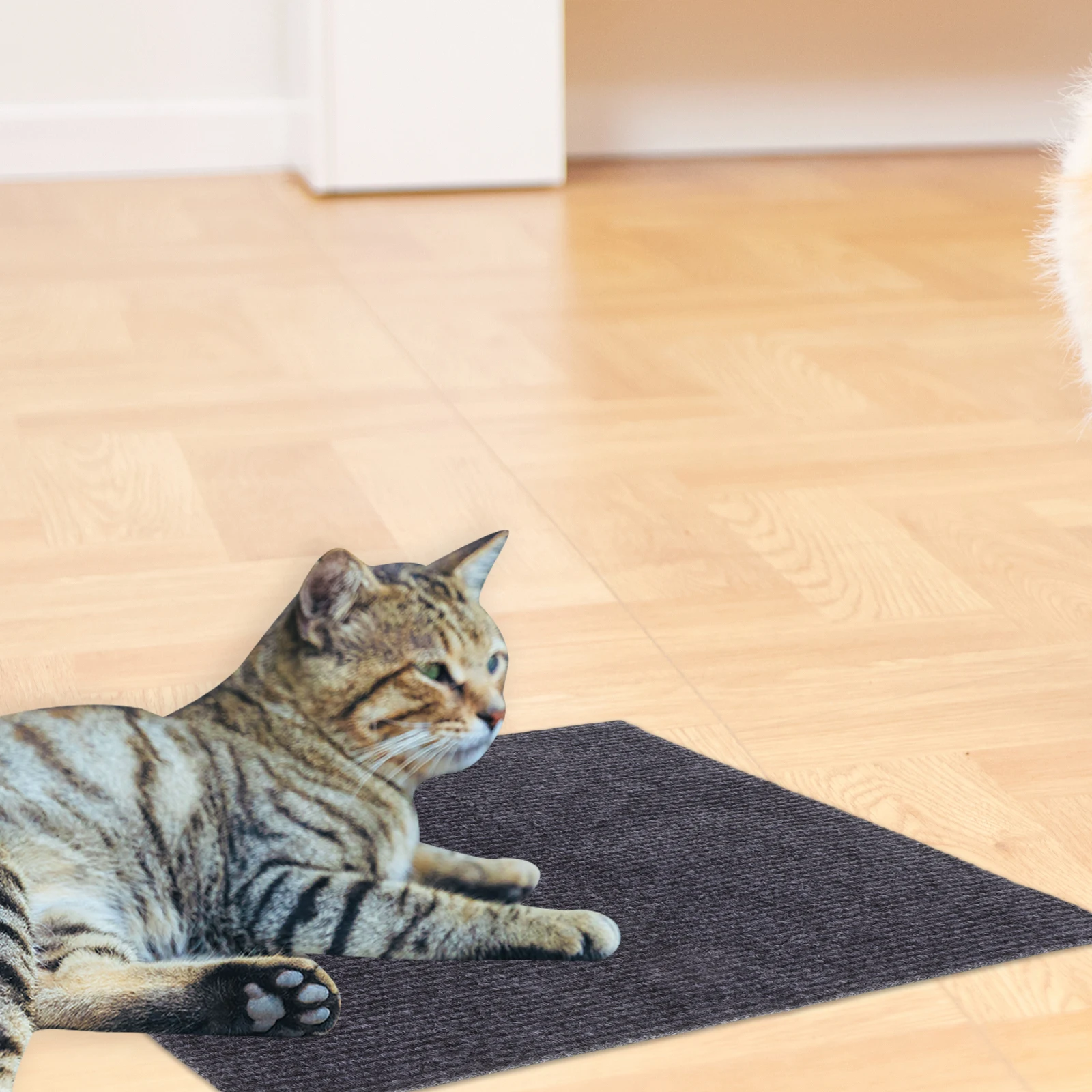 Self-Adhesive Cat Scratcher Mat Carpet Pad Rug for Furniture Protection Indoor Kitten Scratch Post Replacement Custom Size Easy
Self-Adhesive Cat Scratcher Mat Carpet Pad Rug for Furniture Protection Indoor Kitten Scratch Post Replacement Custom Size Easy