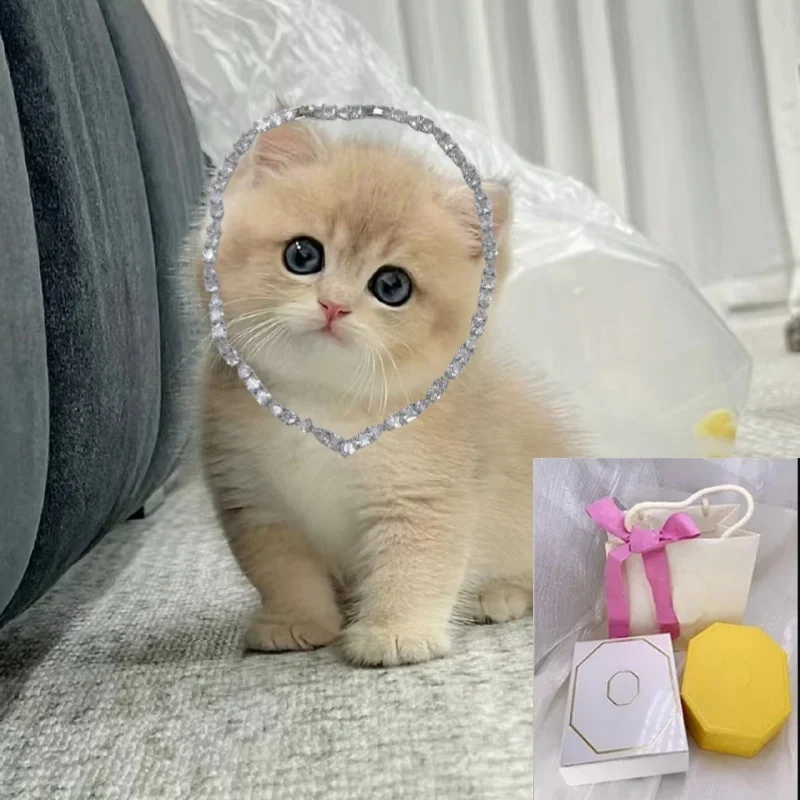 2025 Fashion New Austrian Crystal V-shaped High end Evening Dress Accessories Necklace Jewelry Romantic Gift
2025 Fashion New Austrian Crystal V-shaped High end Evening Dress Accessories Necklace Jewelry Romantic Gift