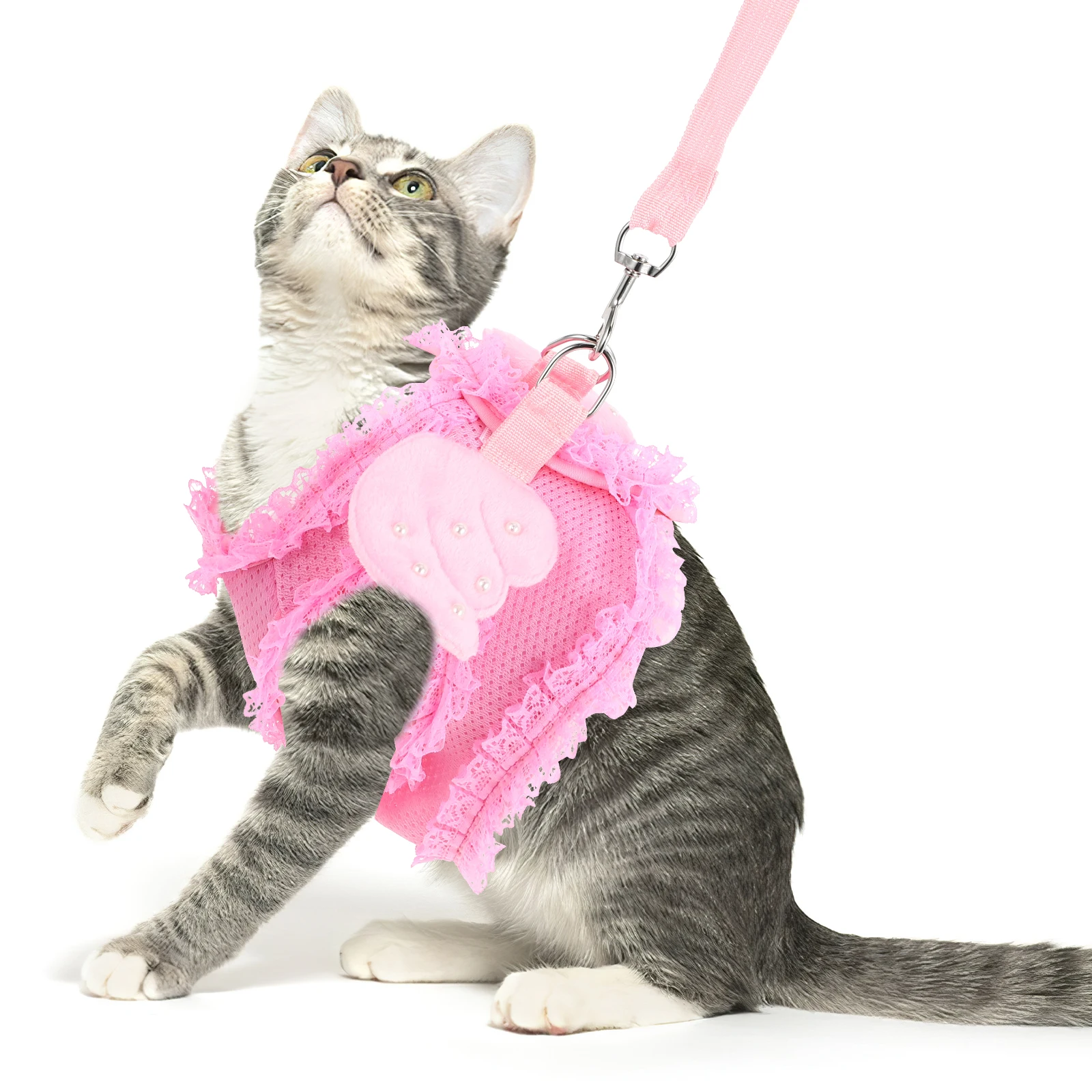 Harness Pet Dog Cat Cute Harnesses for Girls Chest Adjustable Comfortable Baby Leash Puppy
Harness Pet Dog Cat Cute Harnesses for Girls Chest Adjustable Comfortable Baby Leash Puppy