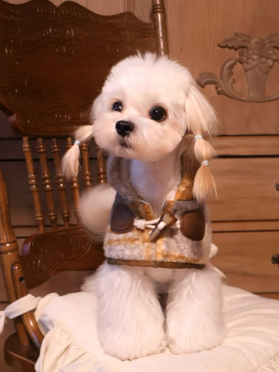 FEBE PET Plaid Coat for Small Dogs And s Teddy Bichon Schnauzer Maltese Winter Pet Clothes Briti Sle Funny Costume
FEBE PET Plaid Coat for Small Dogs And s Teddy Bichon Schnauzer Maltese Winter Pet Clothes Briti Sle Funny Costume