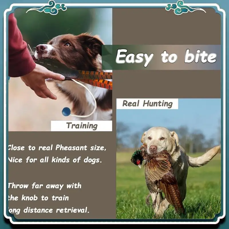 Reliable 2 Pcs Pheasant Dummy Bumper Toy For Hunting Retriever Dog Training, Hunting Duck Recognition Trainers
Reliable 2 Pcs Pheasant Dummy Bumper Toy For Hunting Retriever Dog Training, Hunting Duck Recognition Trainers