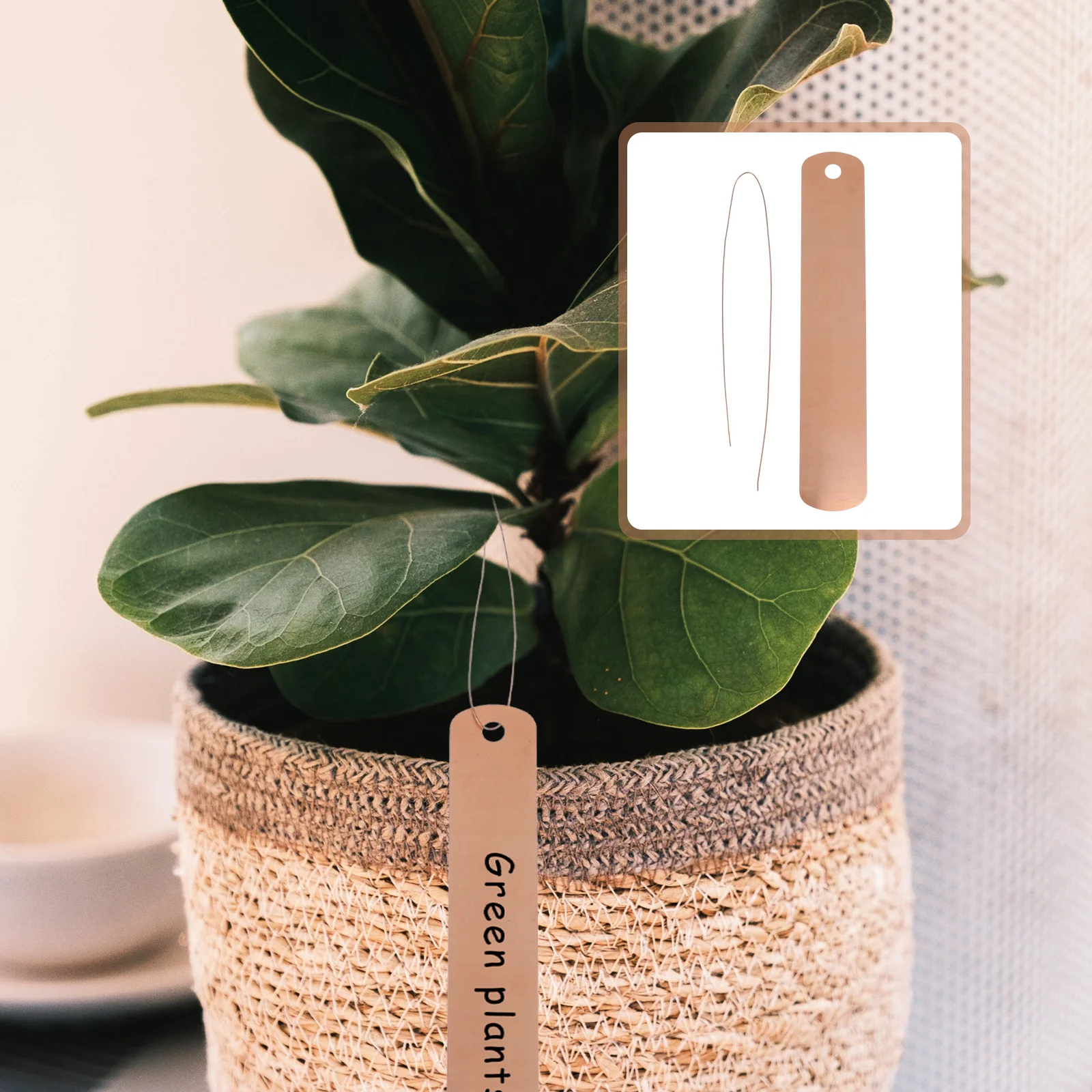 Copper Plate Label Set for Garden Plants Flower Identification Outdoor Greenhouse Use Durable Hanging Tag with Stakes
Copper Plate Label Set for Garden Plants Flower Identification Outdoor Greenhouse Use Durable Hanging Tag with Stakes