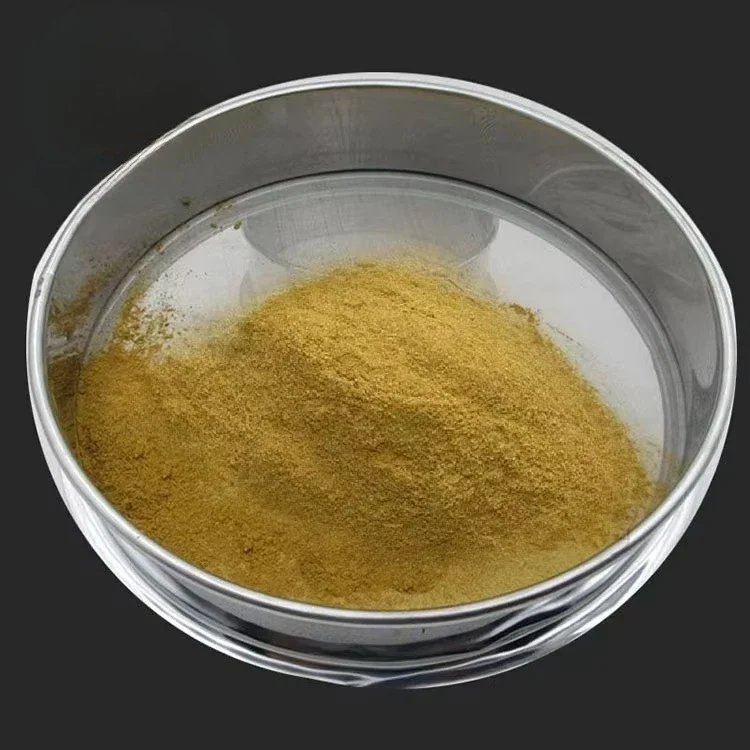 Wholesale Easy to Clean Stainless Steel Wire Mesh Sieve Double Layer Flour Sieve
Wholesale Easy to Clean Stainless Steel Wire Mesh Sieve Double Layer Flour Sieve