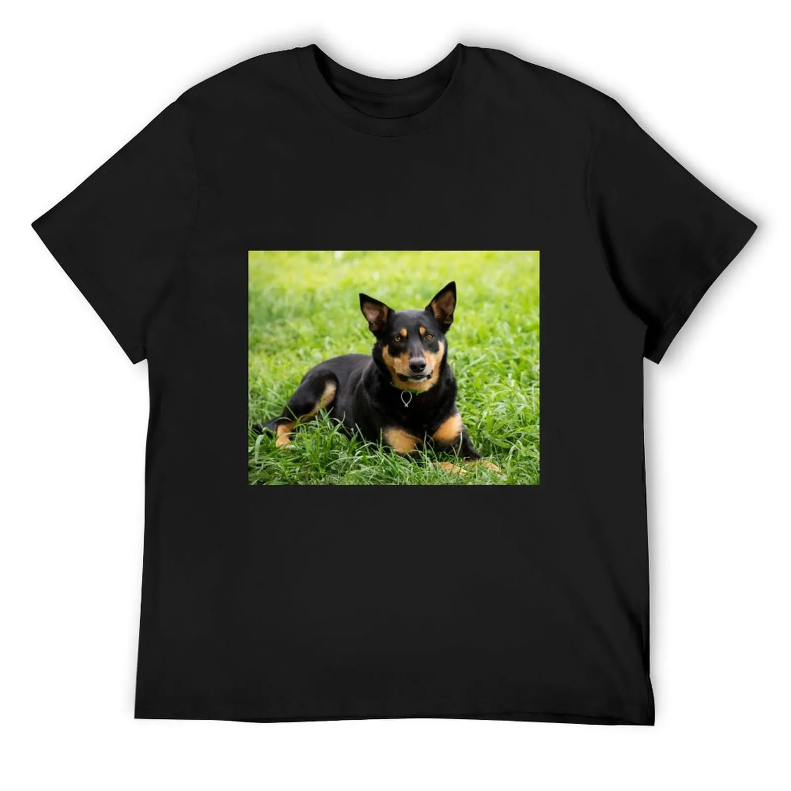 Australian Kelpie T-Shirt new gifts and t-shirts rapper graphic tees customs for a boy fitted t shirts for men
Australian Kelpie T-Shirt new gifts and t-shirts rapper graphic tees customs for a boy fitted t shirts for men